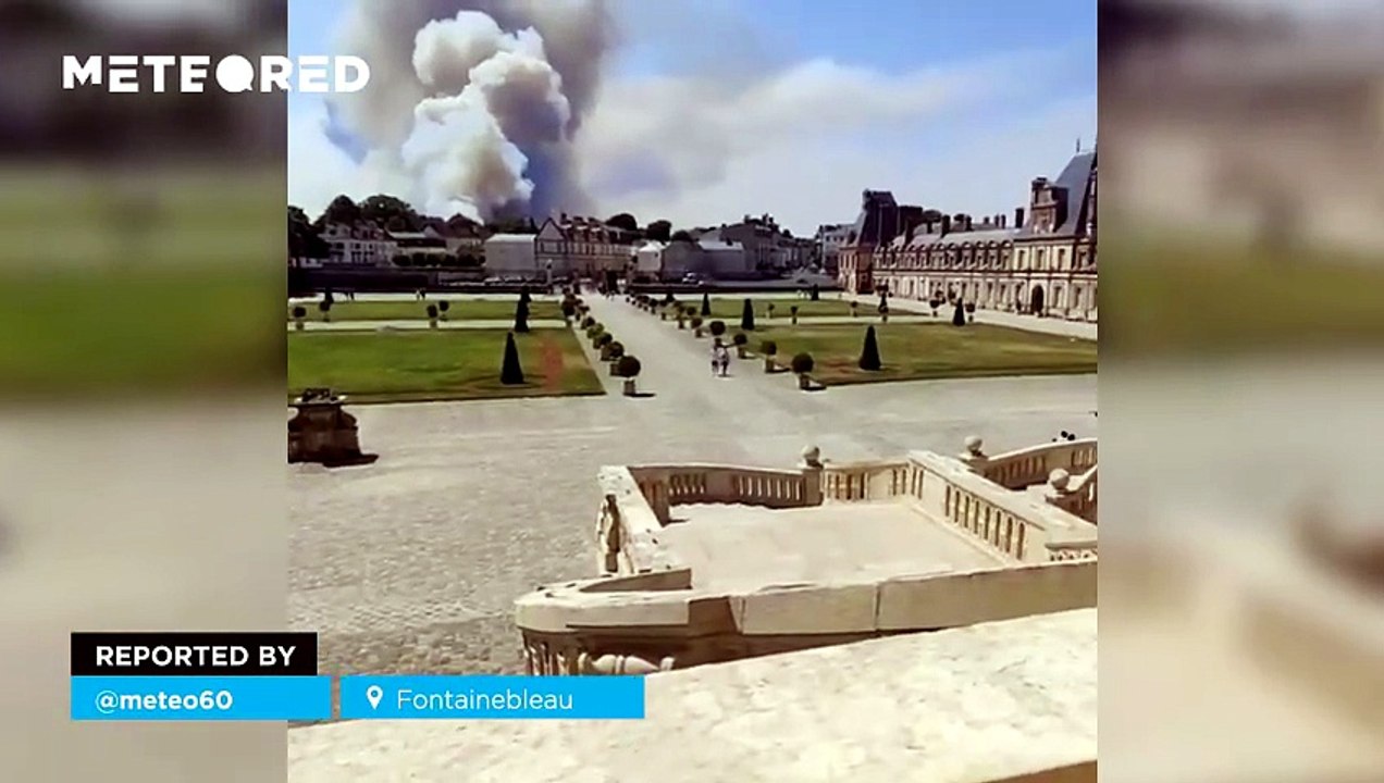 Massive wildfire in Fontainebleau, France