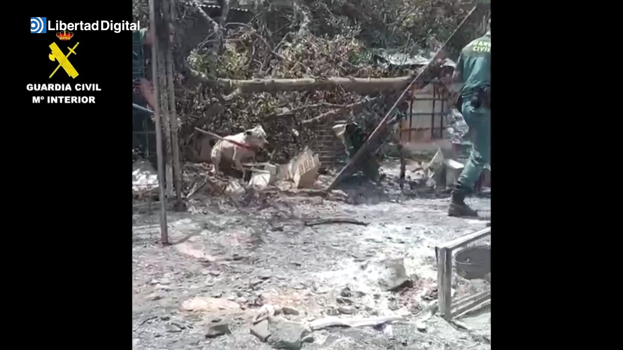 El heroico rescate de la Guardia Civil en las batidas del incendio de Los Gallardos