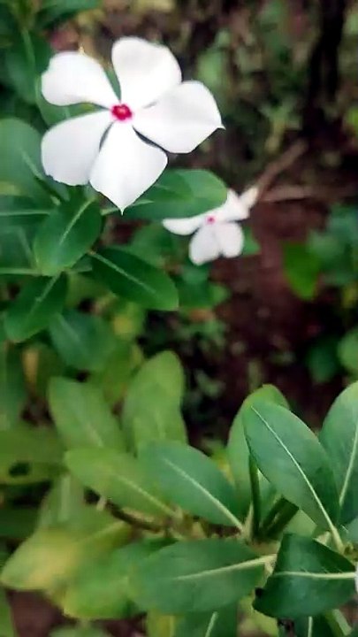 video_20260531_182022