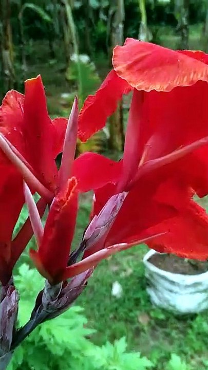 video_20260531_181935
