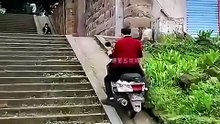 When a silly human has a total fail moment, so bad at it but still loves to play.
