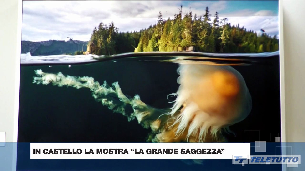 Video News - In castello la mostra  "La grande saggezza"