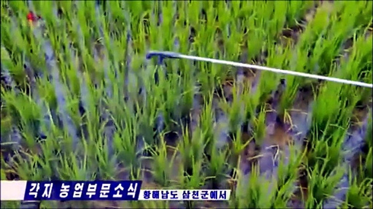 Notícias do setor agrícola e formação de áreas verdes