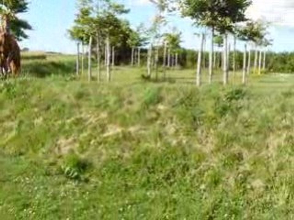 P1020028