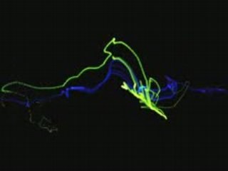 Coldplay - Viva La Vida