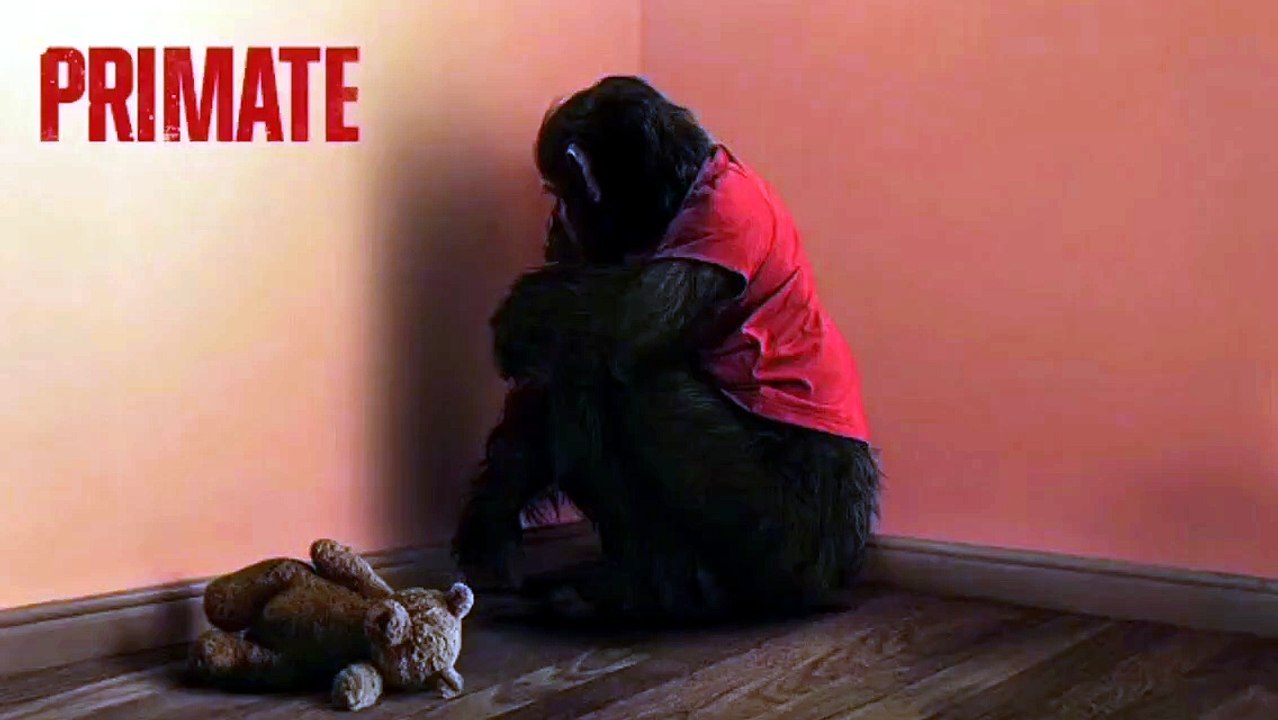 Primate 2026 full movie English natural horror thriller movie #Primate2026 #PrimateMovie #PrimateFilm #UpcomingM...#ActionMovie #ThrillerMovie #Hollywood2026 #MovieLovers #FilmBuzz #Cinema2026 #NewMovie #MovieFans #BigScreen #FilmUpdates [Full Movie]