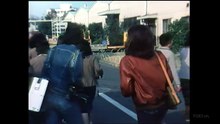 私は怪魚をみた(1981)