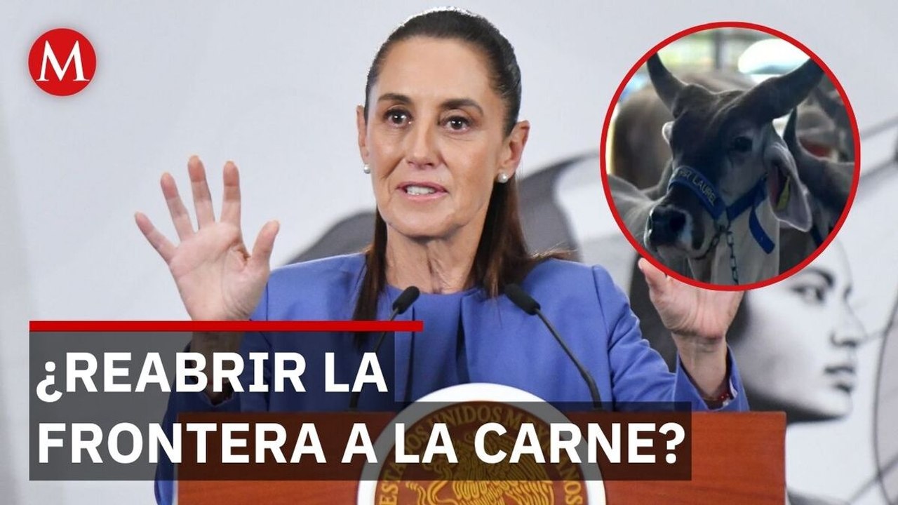 Sheinbaum destaca trabajo con EU para reabrir la frontera a la carne mexicana