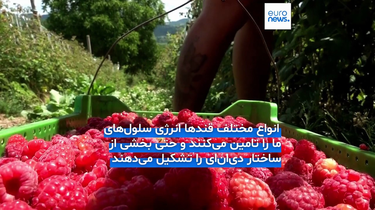 کشف نوعی قند در فضا احتمال وجود مواد اولیه حیات در سراسر کهکشان راه‌شیری را تقویت کرد