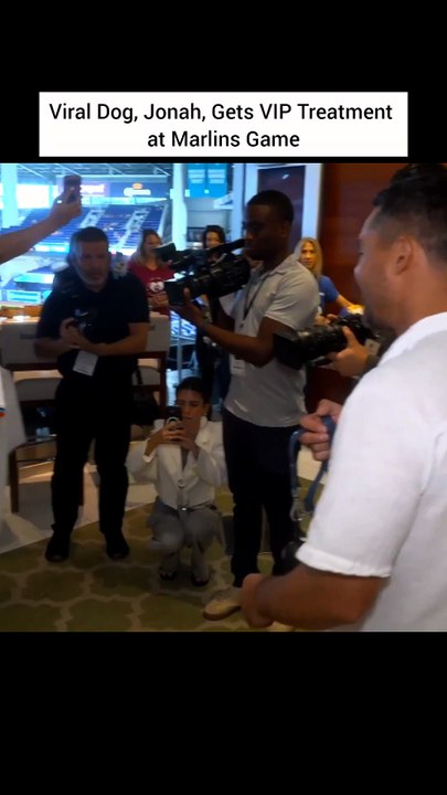Viral Dog, Jonah, Gets VIP Treatment at Marlins Game