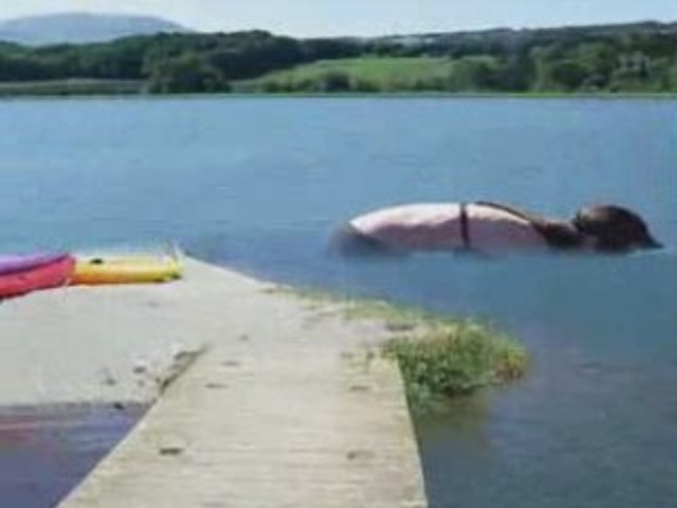 TEST PISCINE