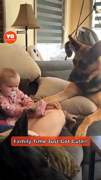 Young girl pampers German Shepherd with a DIY pawdicure