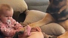 Young girl pampers German Shepherd with a DIY pawdicure