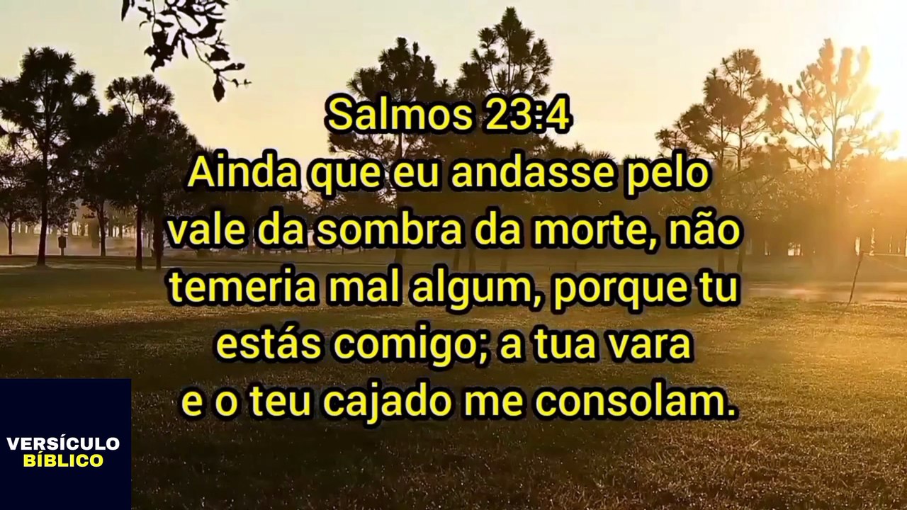 VERSÍCULO DO DIA. Salmos 23