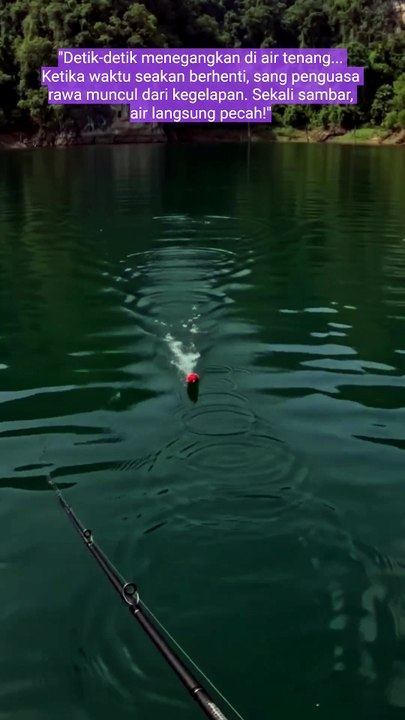 fishing fish