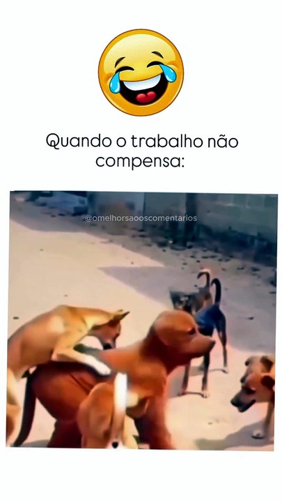Fazendo de tudo pra fugir da CLT. 🐕🐕🐕🐕🐶🐶🐶🐶 #humor #opniao #memes #comedia #trolagem #vaiprofycaramba