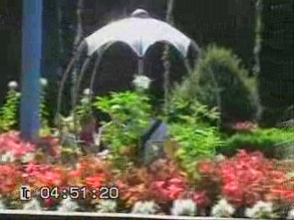 La riviere enchantee