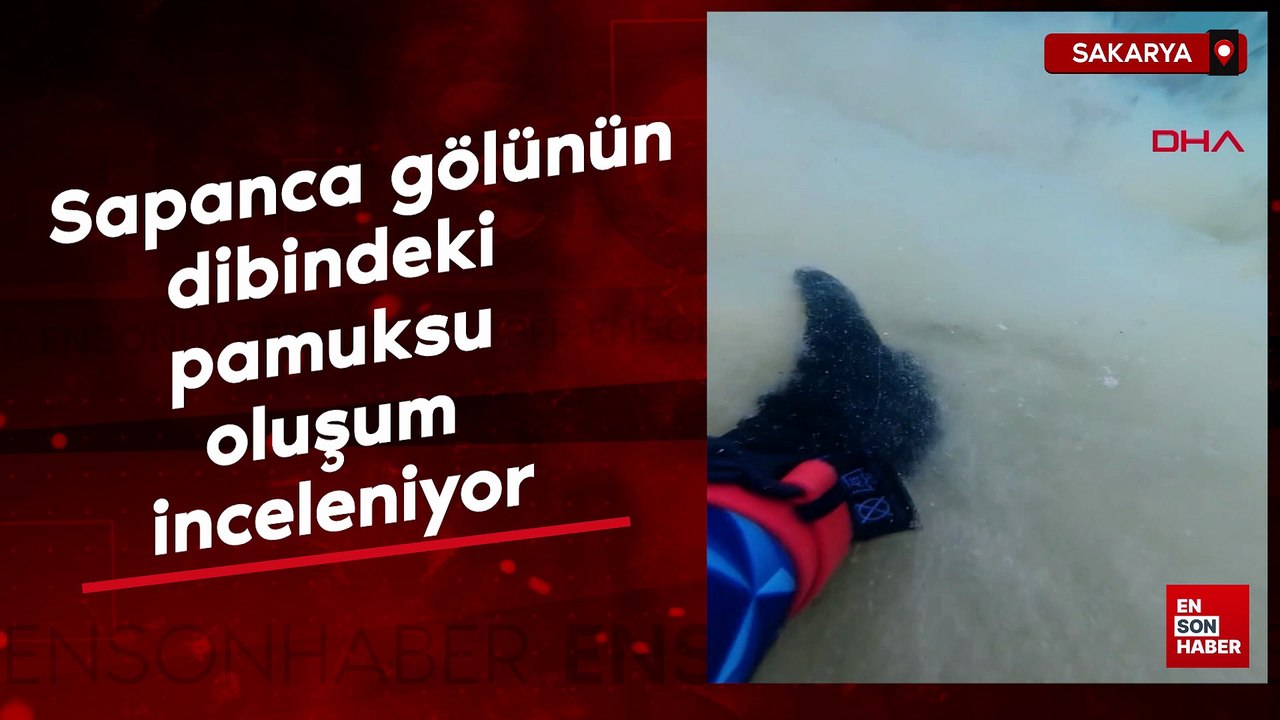 Sapanca gölünün dibindeki pamuksu oluşum inceleniyor