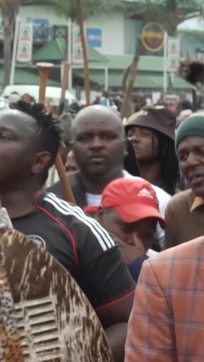 Anti-immigrant protestors march in South Africa