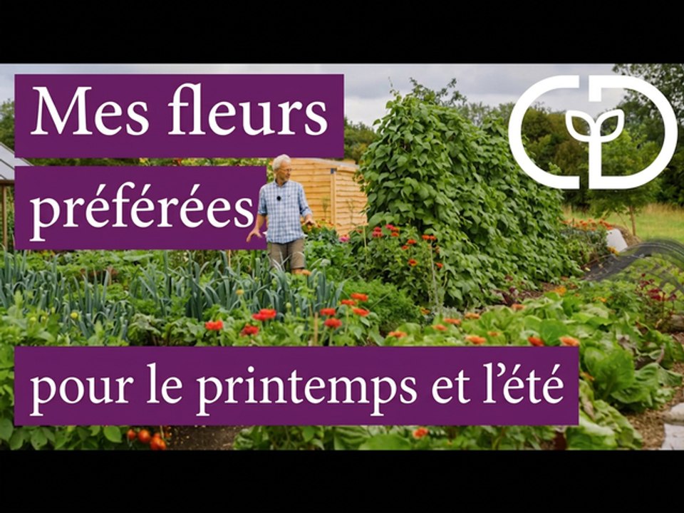 Des fleurs en trois vagues