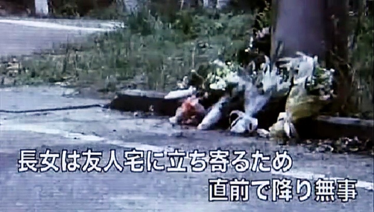 シャニダールの花 The Flower of Shanidar (2013)