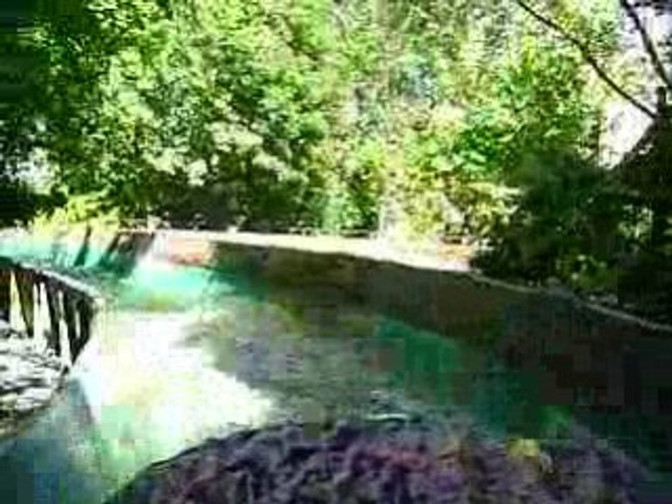 Bellewaerde park 1 Juillet 2008