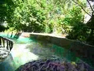 Bellewaerde park 1 Juillet 2008