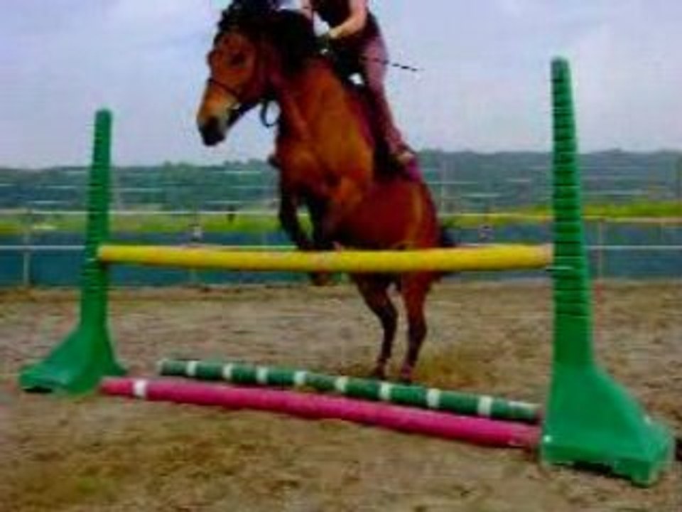 Lili saut d'obstacle