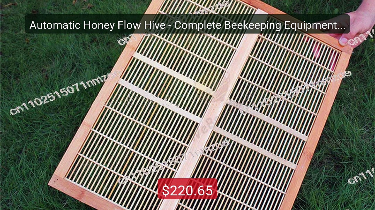 Automatic Honey Flow Hive - Complete Beekeeping Equipment with... -- Best Buy 2026 | Great Quality!