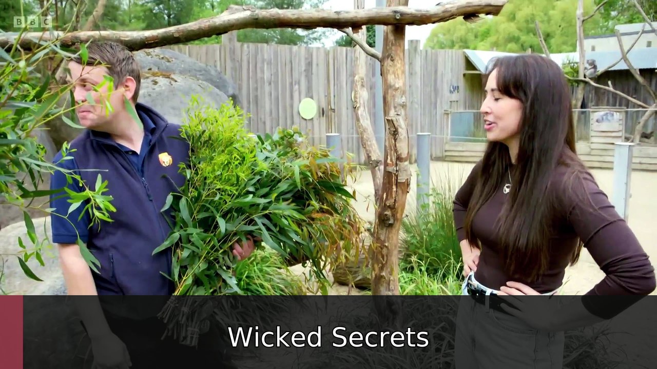 Animal Park Season 2025 Episode 3 | Wicked Secrets