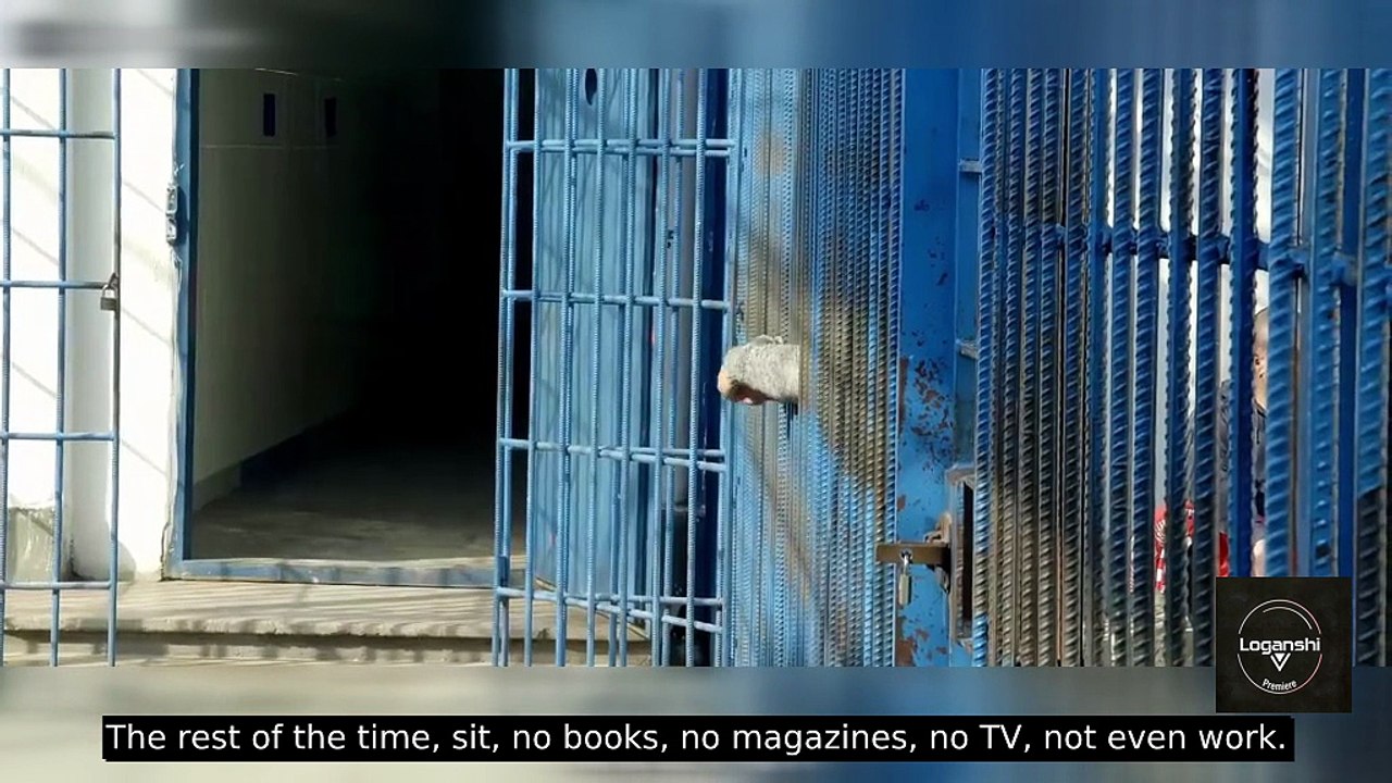 Inside El Salvador's Mega-Prison: 1,000-Year Sentences & What It Cost