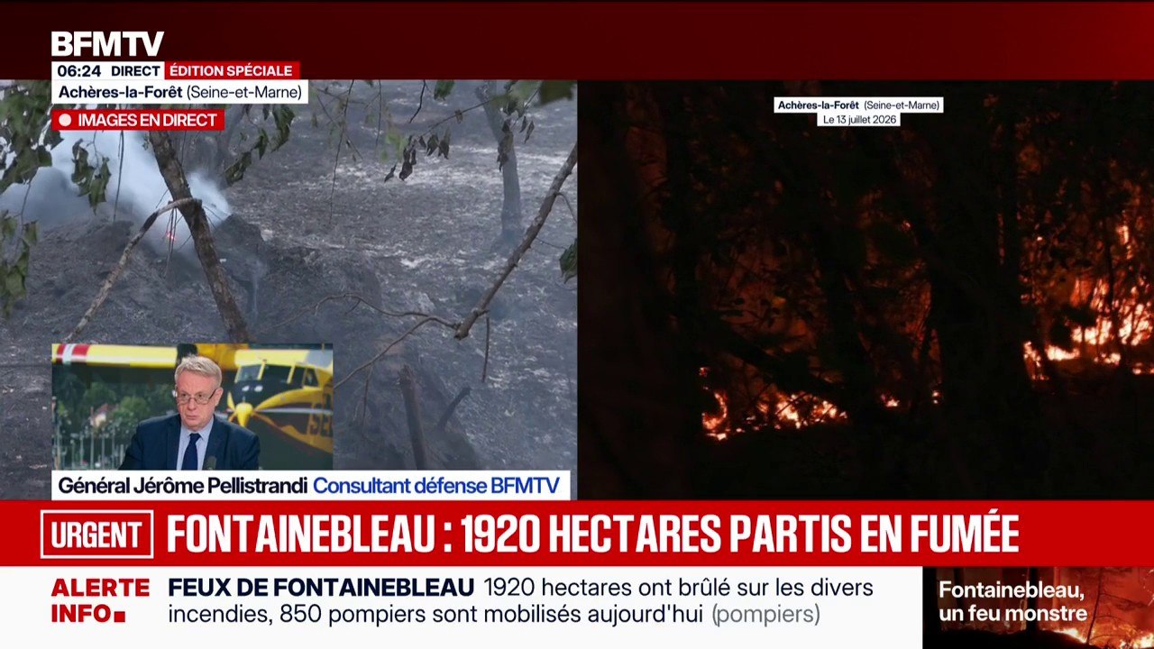 Incendie de Fontainebleau: "1920 hectares, c'est plus de deux fois le 15e arrondissement ou plus que le bois de Boulogne", assure général Jérôme Pellistrandi, consultant défense BFMTV