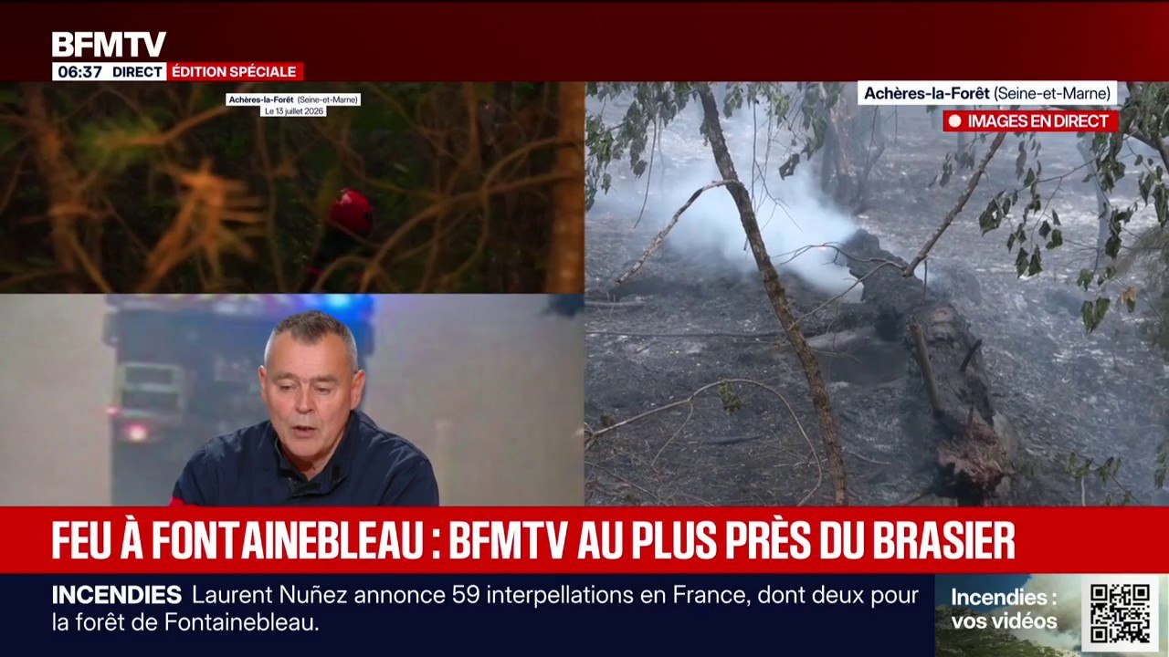Feu à Fontainebleau: comment les pompiers repèrent les reprises de feu