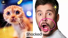 the funniest viral videos current