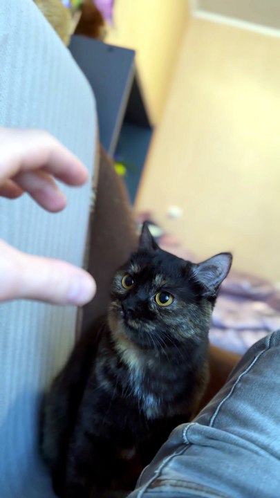 Who is such a little biter? 😼