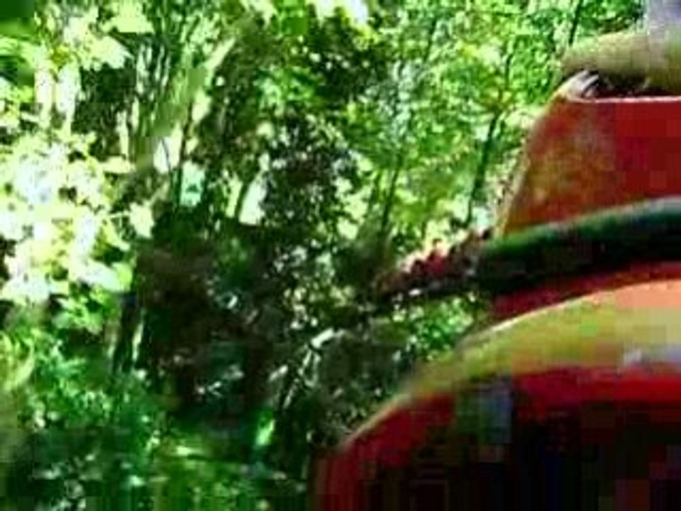 Bellewaerde la Coccinelle