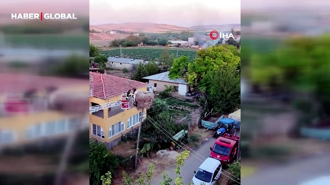 Yuvalarında kördüğüm olan 3 yavru leylek böyle kurtuldu