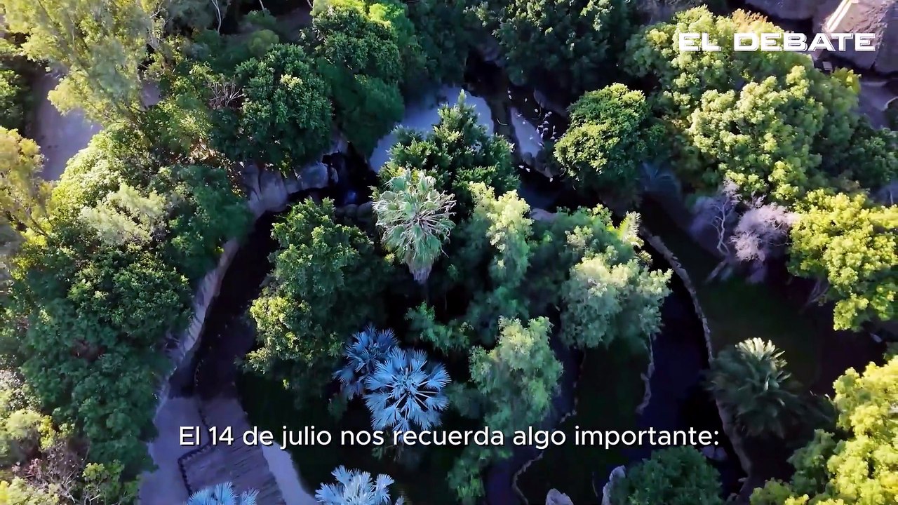 Bioparc celebra el Día Mundial del Chimpancé