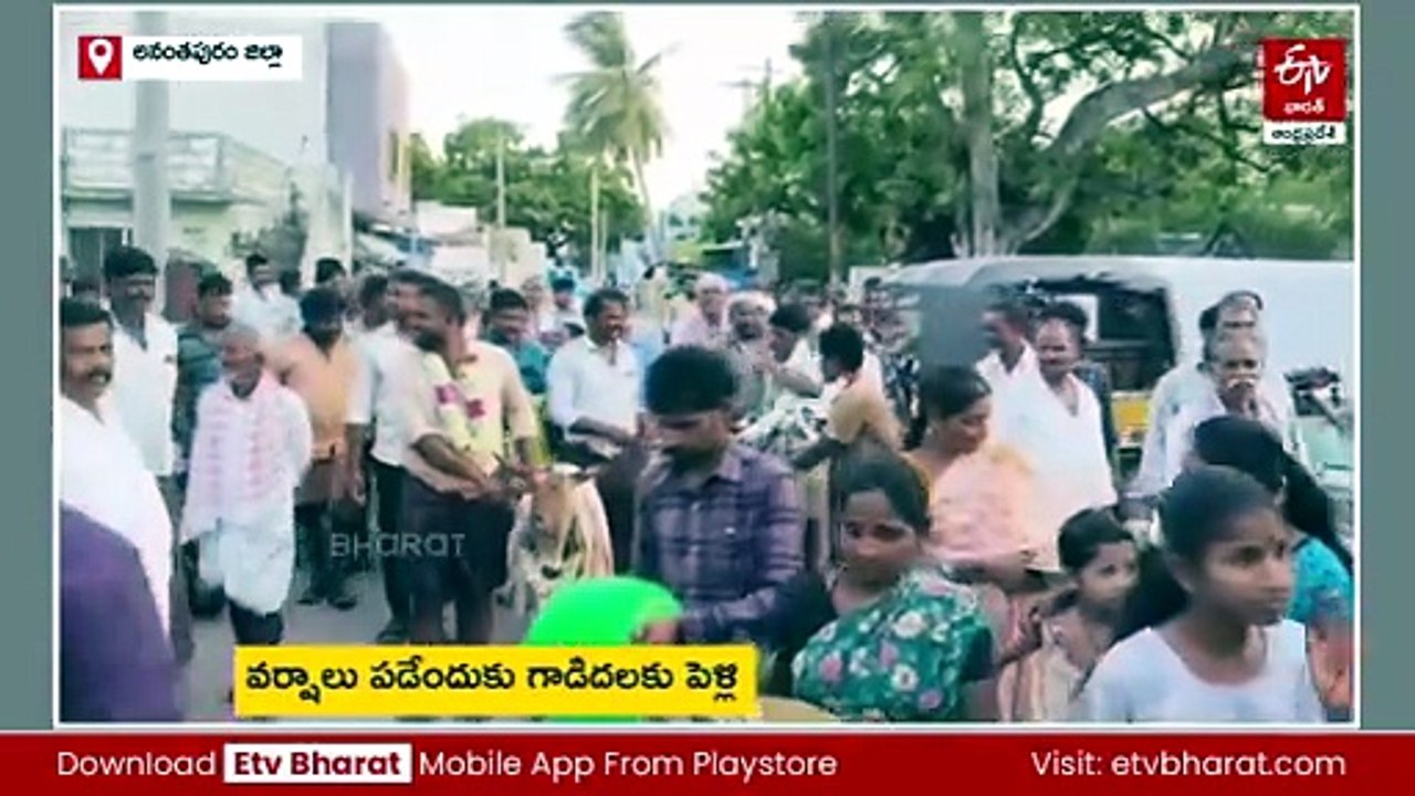 వర్షం కోసం గాడిదలకు పెళ్లి - నాగుల బావి సమీపంలో ప్రత్యేక పూజలు