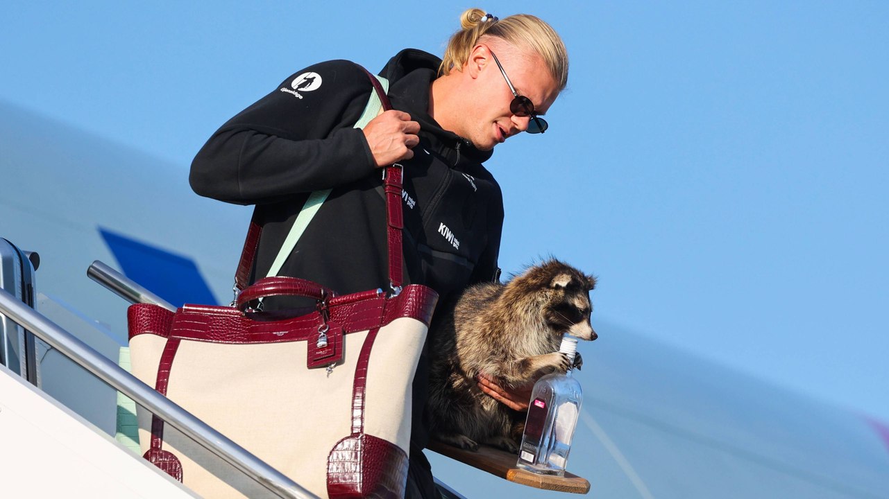 Haaland kommt mit Waschbär: Fans feiern das Team von Norwegen