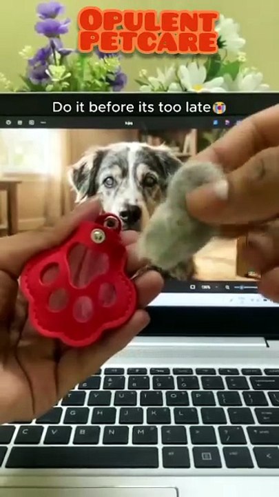 Paw Leather Keychain