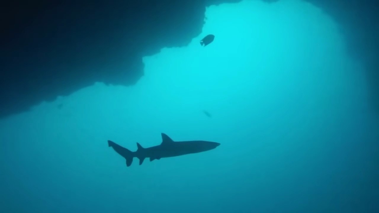 The Ocean Is Hiding Something…What They're Still not Telling US !!!