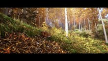 Hunting Simulator 3 - Sounds of the Hunt Trailer