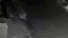 Shocking Security Camera Footage Of Wild Leopard Ambushing Dog In Home Courtyard At Night