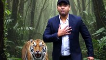 King of the forest