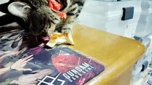アップルパイを盗む悪魔シフォン