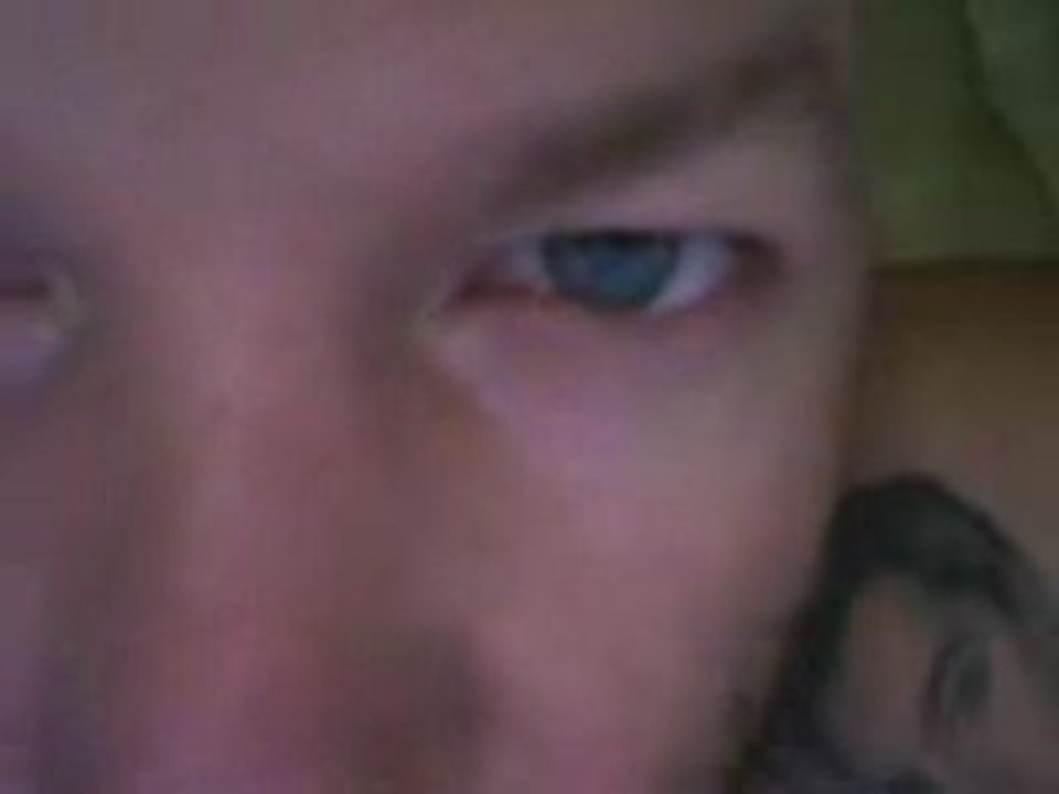 Fred: «Il est temps pour Limp Bizkit!"