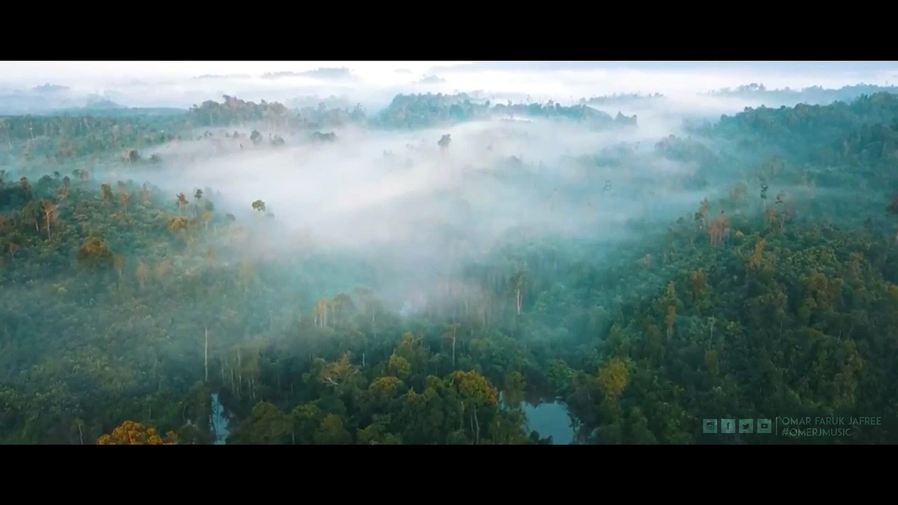 Rain On Me (Original) - OMER J MUSIC | #edm #omerjmusic #forestmusic #rainmusic #soundtrack