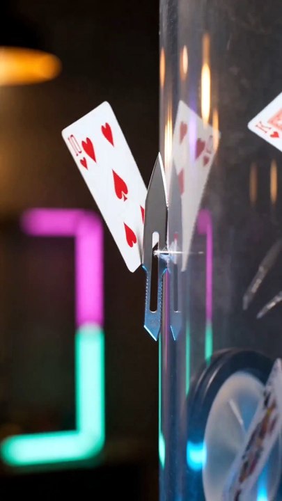El as de las apuestas serie completa