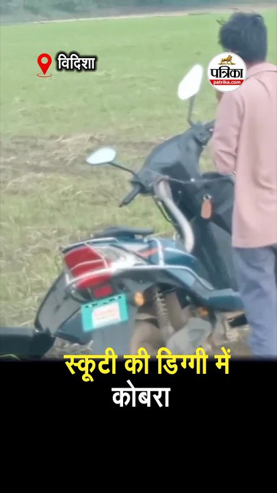 स्कूटी की डिग्गी में कोबरा